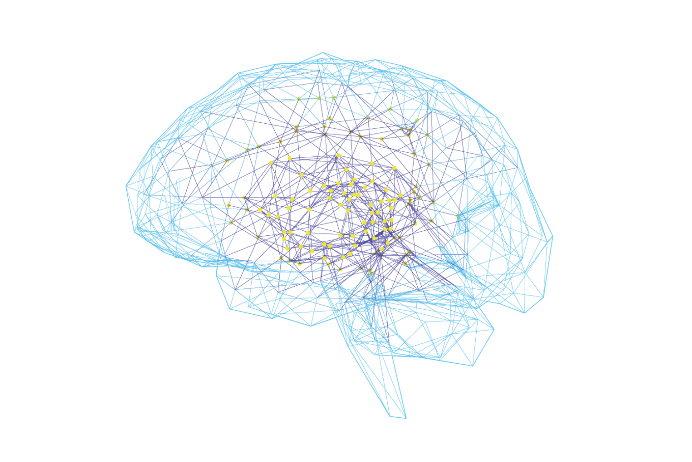 Brain