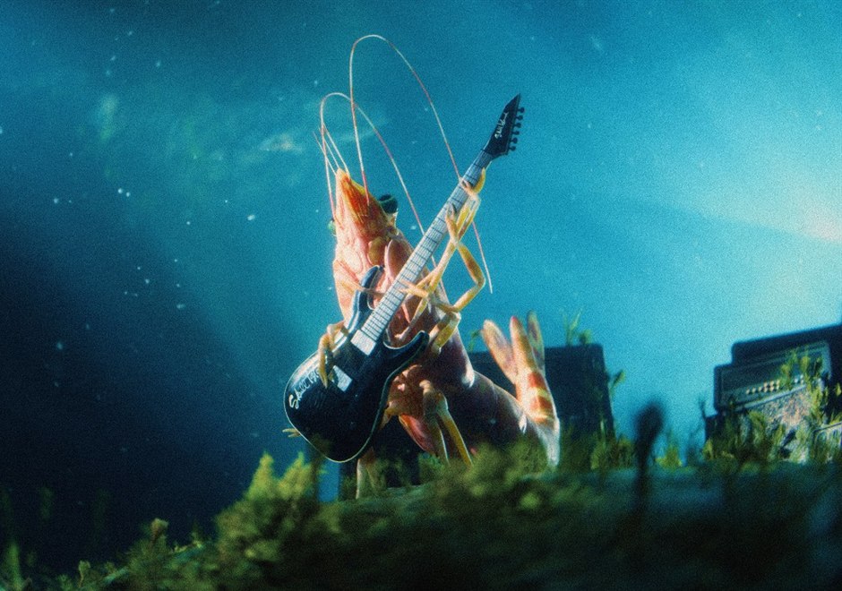 Skull Island Prawns